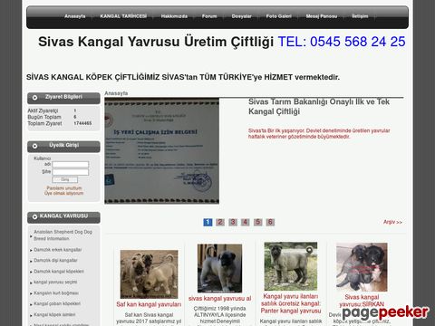 www.kangalyavrusu.net