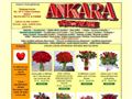 Ankara iek Gnderme - http://www.ankaracicekpazari.com