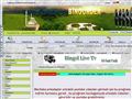 Bingl Kurbetiler Sitesi - http://www.bingurder.com